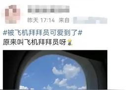 “飞机拜拜员”走红，网友：我也能干图片