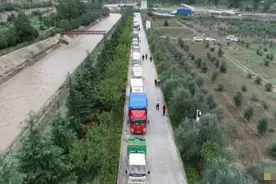 全国最大油橄榄种植区 50多万亩油橄榄改变山乡图片