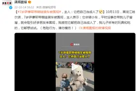 7岁萨摩耶带萌娃骑车被围观，主人：“它把自己当成人了”图片