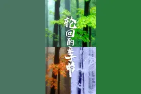 天气密码：中国人的地理启蒙课图片