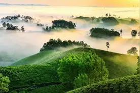 “美好生态看河南”优美照片展播（一）图片