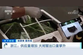 大量上市！这里大闸蟹，一斤降了十多元图片