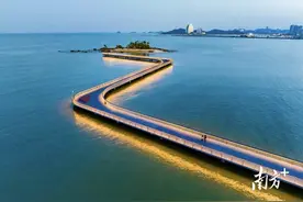 老牌顶流“翻红记”图片