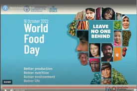 世界粮食日：谁知盘中餐，粒粒皆辛苦图片