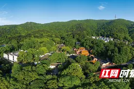 湖南多个景区发布公告 暂停对外开放或半封闭图片