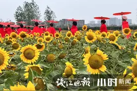 杭州城北这片梦幻花海出圈，阿姨们穿红色旗袍集体打卡图片