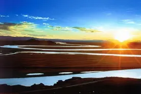 夜雨丨​乔安：嘿！多思图片