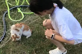 流浪猫被足球网缠绕无法动弹，15岁女孩救助，最后一幕太暖了图片