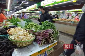 秋冬的第一口红菜薹来了，更脆更甜的可能要再等等图片