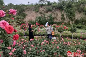 秦州城区南北两山：“生态气质”提升托起百姓“绿色幸福”图片