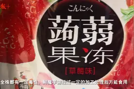 蒟蒻果冻好吃不发胖？专家：蒟蒻也叫魔芋，有望成为食品行业新兴热点图片