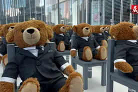 两百只小熊从纽约来上海“旅行”，侬会去参观打卡吗？图片