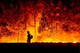 威头条丨森林火灾为何频发？高温干旱极端天气是重要因素图片