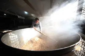 重庆彭水：深秋好酿糯米酒图片