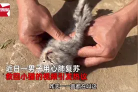 男子做1小时心肺复苏救回全身僵硬小猫！什么情况下可以给萌宠做心肺复苏？如何做？专家这样说→图片