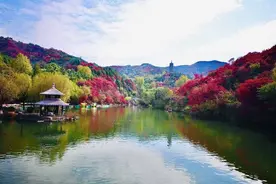 金秋十月-红叶美图片