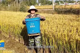 山东省农业科学院第三届农业科技成果秋季拍卖会成果——一种可破碎结块的背负式电动施肥器图片