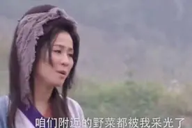 评论丨王宝钏挖野菜被嘲恋爱脑，别把自己绕到梗里去图片