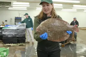 美国53岁女子靠卖鲜鱼年收入145万图片