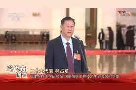 外国部长为何给女儿改名“菌草”？《山海情》原型上热搜背后：断肋骨、失亲人图片