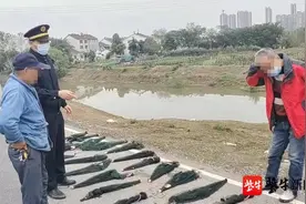 城市河道里下地笼捕虾作乐，执法部门依法查处图片