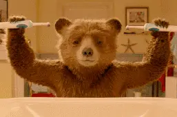 掏耳屎竟致颅内感染！这么多年都掏错了图片