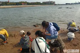 “今晚的下酒菜有了！”初一落大潮，栈桥赶海忙图片