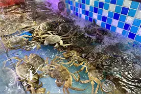 母蟹100元/公斤！昆明大闸蟹价格“大跳水”图片