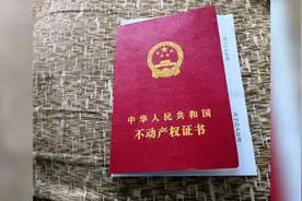 一己之力带红鹤岗的李海仍隐居在此：这里是家，除了有点孤独视频封面