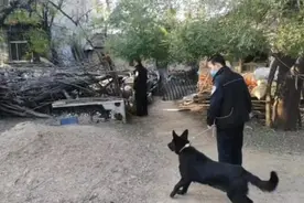 滨州村民13只羊跑丢 警犬“黑妹”帮找回图片