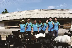 挤进盒马鲜生供应链——罗田黑山羊一路奔向“北上广”图片