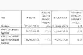 山东玻纤：2022年前三季度净利润4.41亿元 同比下降2.09%图片