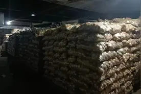 北京最大冬储菜基地：1.9万吨菜入库 随时保供市场图片
