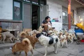 从老板到”疯子“，李青云18年的“救宠”之路图片