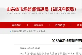 「山东」2022年羽绒服装产品质量省级监督抽查结果图片