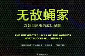 我们为什么要关心那些双翅目昆虫图片