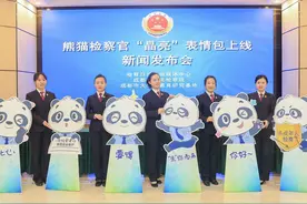 跨界互动的表情包：“熊猫检察官”表情包亮相“晶亮”担任未检大使图片