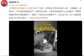 野象闯民宅嚼烂两件衣服后离开，村民：它常在村子附近活动图片