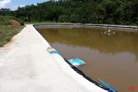 四川乐山两人非法占用基本农田开挖钓场 被责令拆除已复耕图片