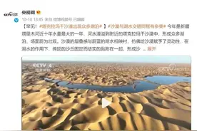 沙漠深处还能养螃蟹！塔克拉玛干沙漠“湖泊”已不罕见图片