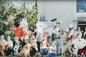 狗子也玩剧本杀？新型“遛狗”火了图片