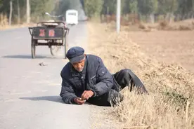 八旬老人匍匐捡拾路边玉米粒：“看到它们被风吹走心疼得慌”图片