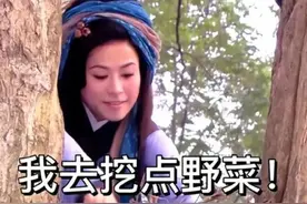 “王宝钏挖野菜”出圈，恋爱脑该被群嘲？图片