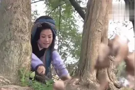 文化之窗｜“王宝钏挖野菜”不只是爱情图片