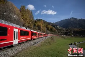 世界最长窄轨客运列车创吉尼斯世界纪录 由100节车厢组成图片