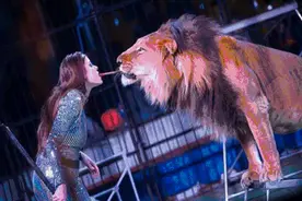 超震撼！皇家大马戏火爆开场，门票免费送！图片