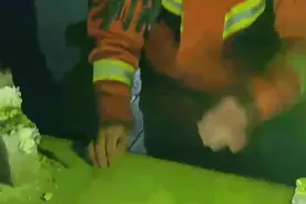 果然视频｜小猫掉进楼顶通风口被困，消防员自制套索耐心“钓”猫图片