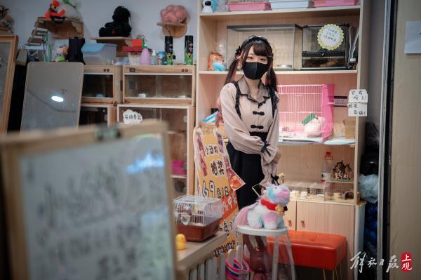 躲在洛丽塔裙下的“三坑少女”，却是“破产一条街”上打不倒的小强