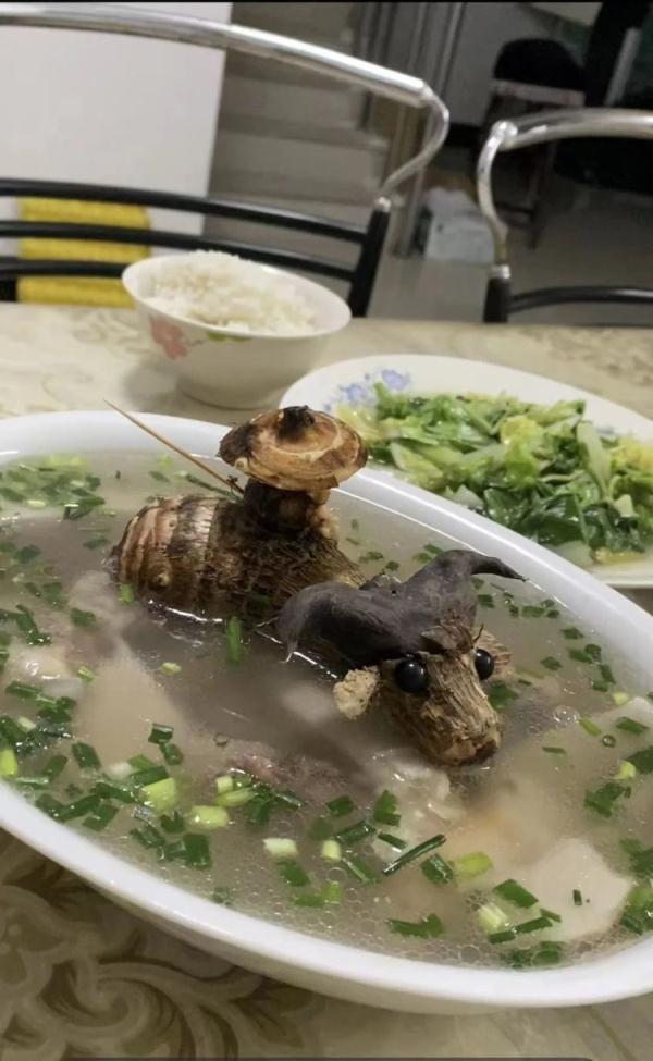 欢乐套牛破解版（湖南一父亲给女儿做饭偶然发现摆盘天赋）