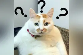 山东有多少个你“自己”？一查便知图片